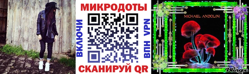 купить наркоту  Старая Купавна  Псилоцибиновые грибы Psilocybe 