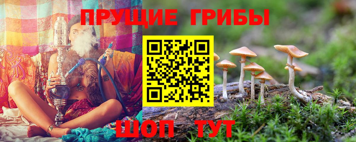 Старая Купавна  Псилоцибиновые грибы GOLDEN TEACHER  Вход с VPN 