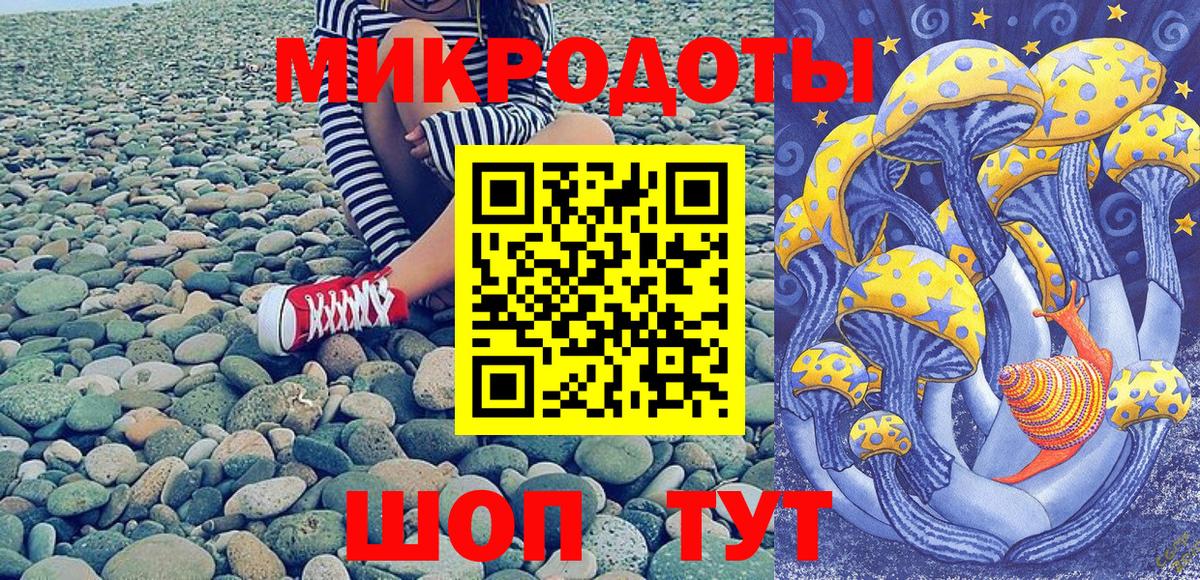 Псилоцибиновые грибы Psilocybine cubensis Старая Купавна